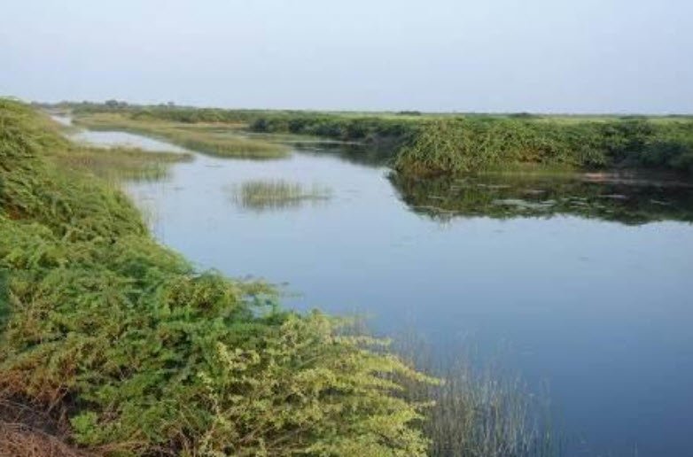 Bakhira Tal, Sant Kabir Nagar, Uttar Pradesh - Vushii.com Bakhira Tal, Sant Kabir Nagar, Uttar Pradesh - Vushii.com
